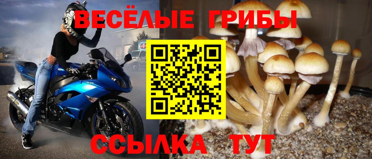 Псилоцибиновые грибы Psilocybine cubensis Новый Уренгой