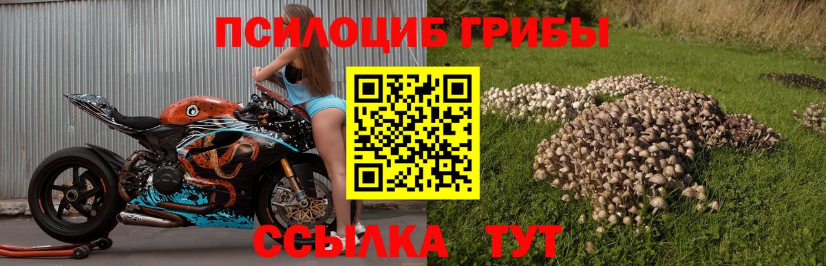 Галлюциногенные грибы Cubensis  Вход с VPN  Новый Уренгой 